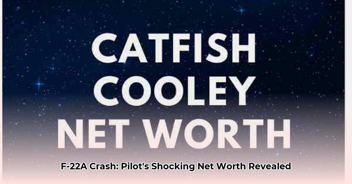 david-cooley-net-worth
